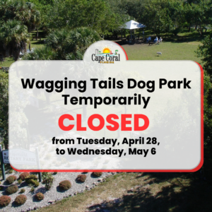 article image - Wagging Tails Dog Park art